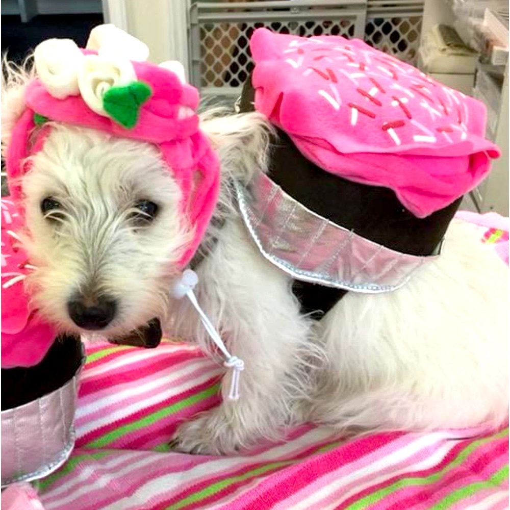 Halloween Cupcake Outfit